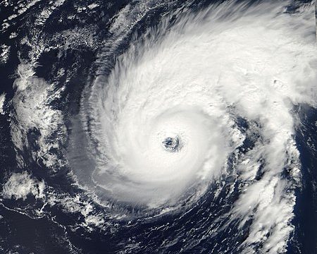 hurricane-erin satellite